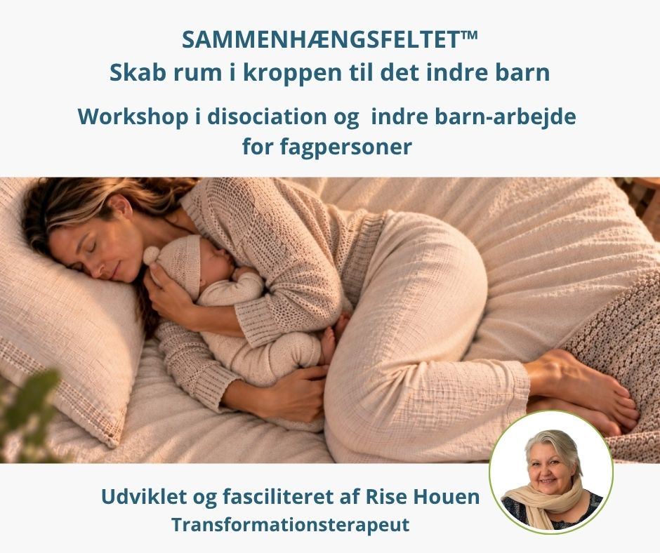 Sammenhængsfeltet™      Disociasions behandling  For fagpersoner