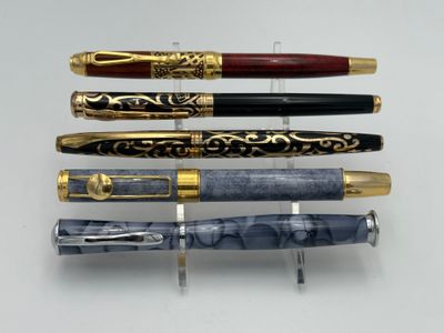 Lot de 5 stylos plume