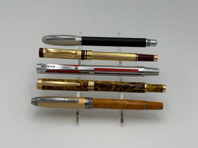 Lot de 5 stylos plume