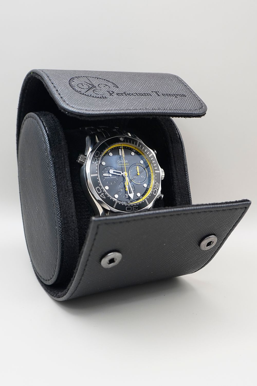 Luxury Watch Travel Cases