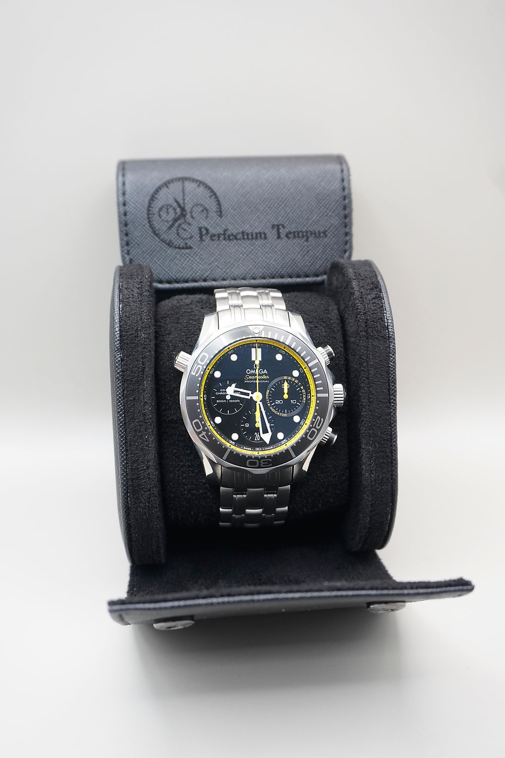 Luxury Watch Travel Cases