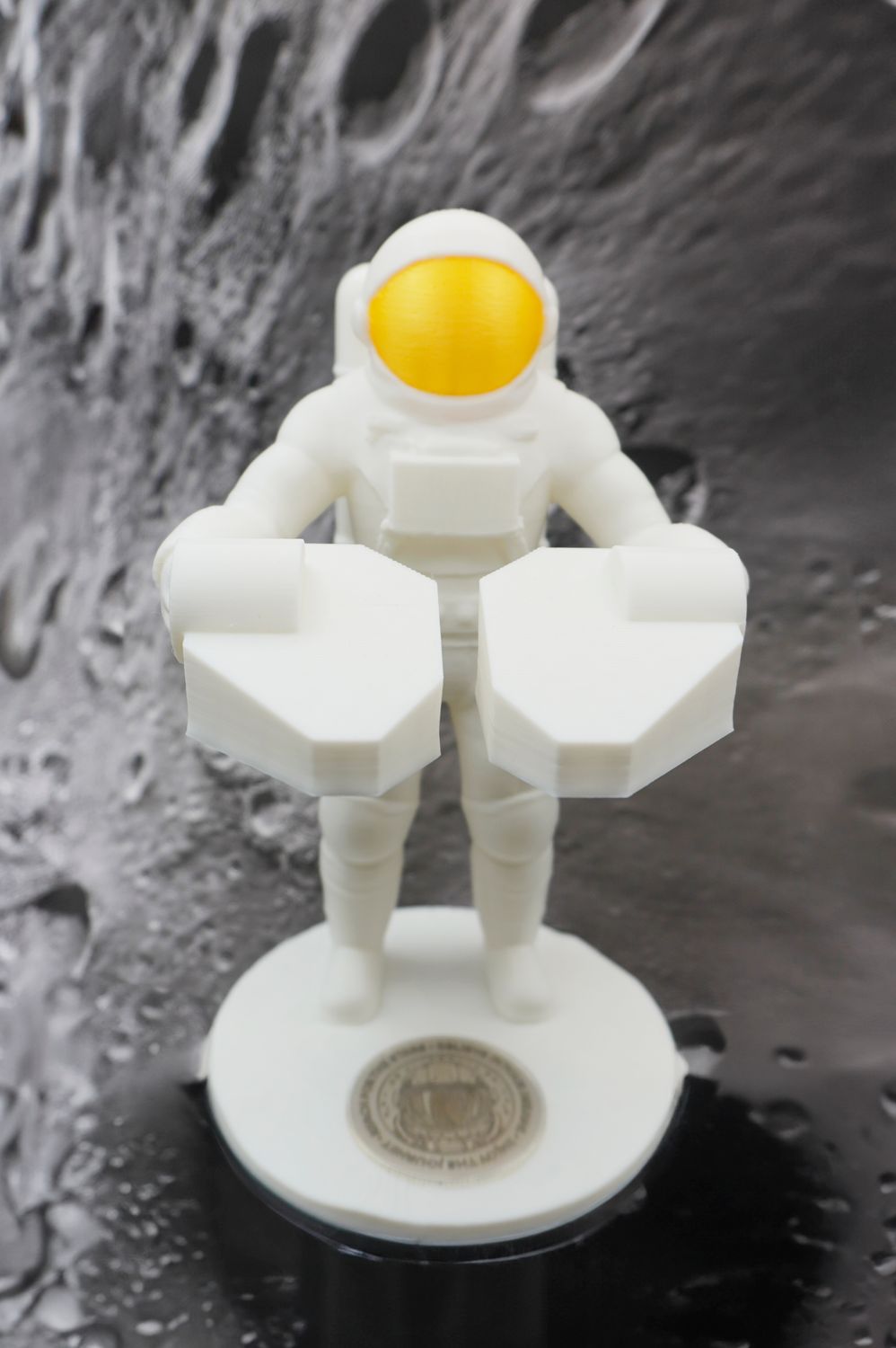 The Astronaut
