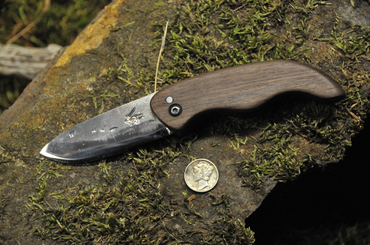 Friction folder pocket knife