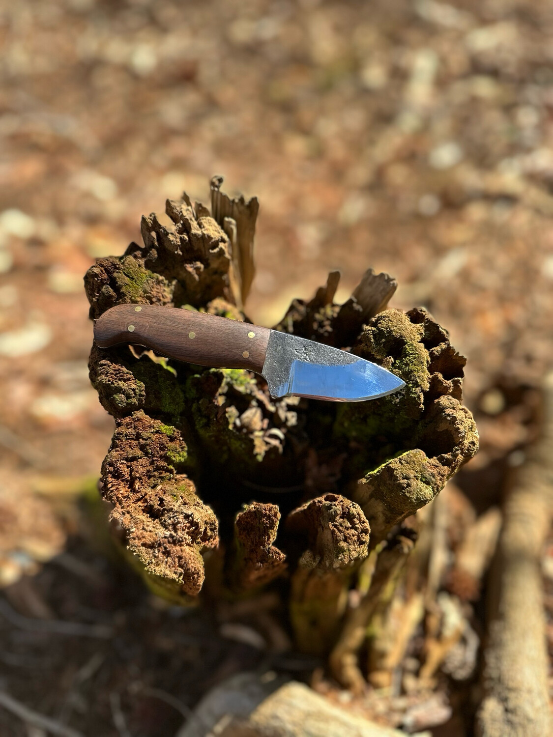 Drop Point Every Day Carry Utility Knife
