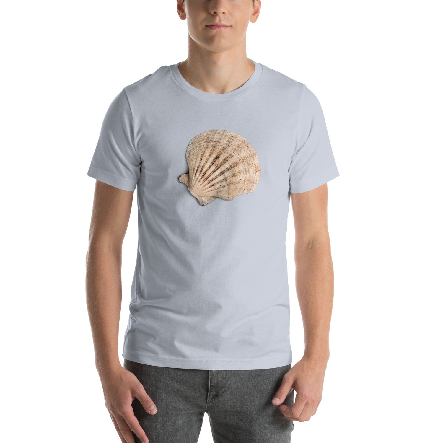 t-shirt, seashells, ocean, beach