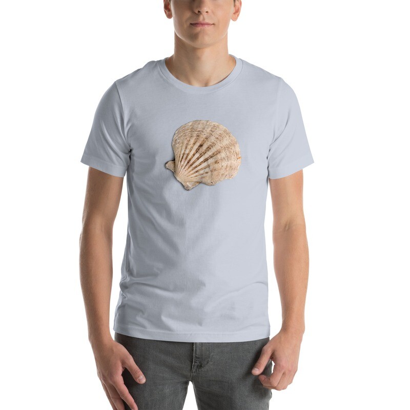 t-shirt, seashells, ocean, beach