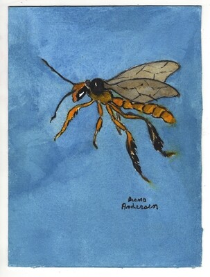 Original Watercolor Art painting Jatai Stingless Bee