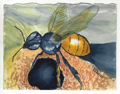 Original Watercolor painting Mirim Stingless Bee