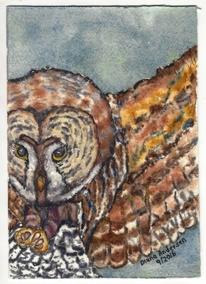 Original Art watercolor painting Owl