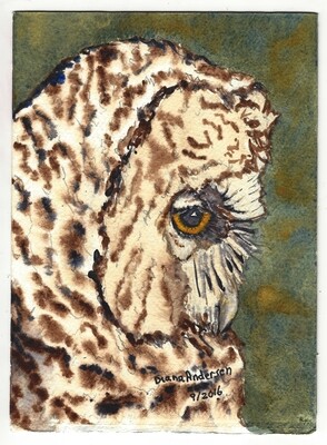 Original Watercolor Art owl painting