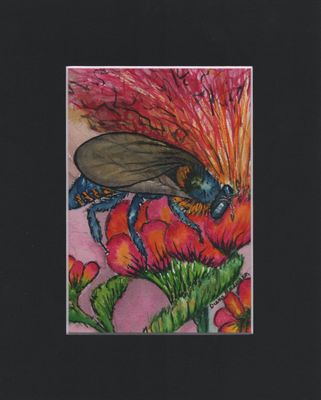 Brazilian Manduri Stingless Bee Print