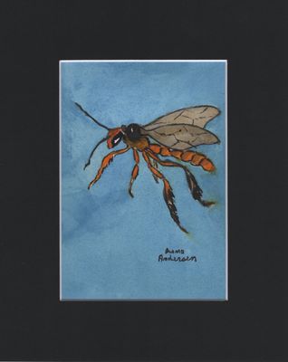 Print of Brazilian Jatai Stingless Bee