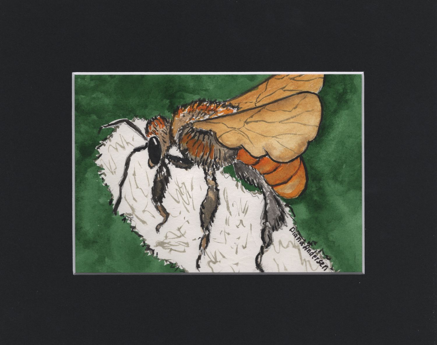 Print of Brazilian Stingless Bee
