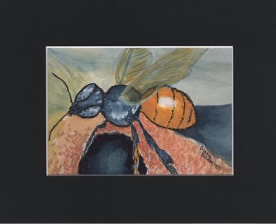 Print of Brazilian Mirim Stingless Bee