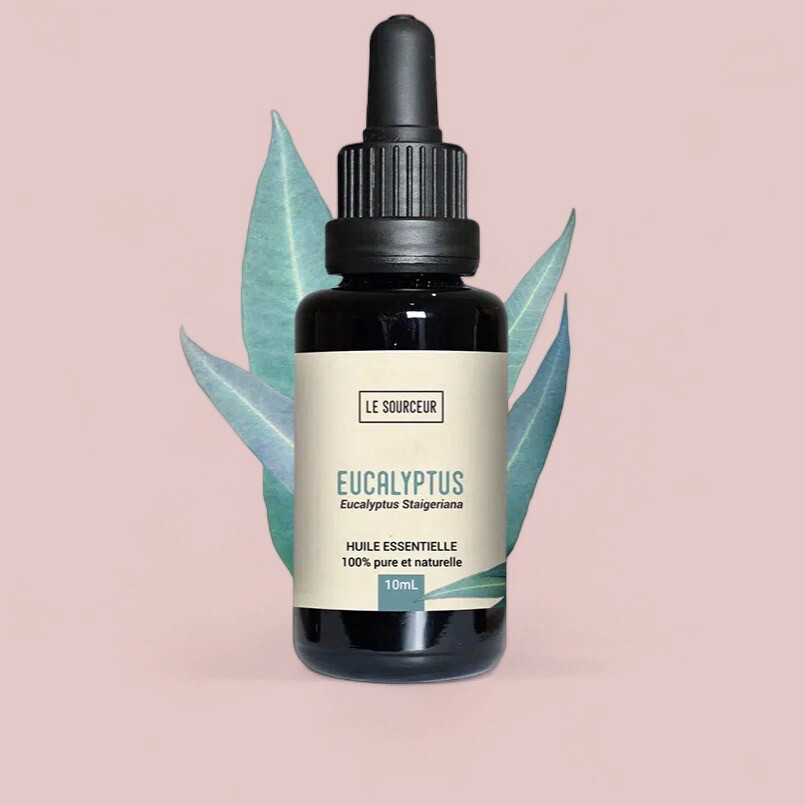 EUCALYPTUS