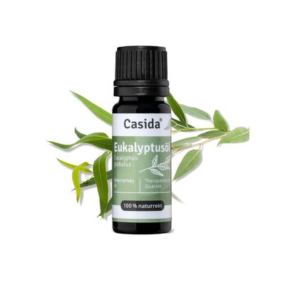 Eukalyptusöl Casida