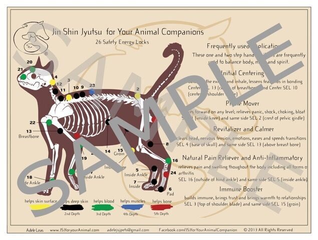 Large Laminated JSJ for Your Feline Companion Chart of Safety Energy Locks (US purchase only)