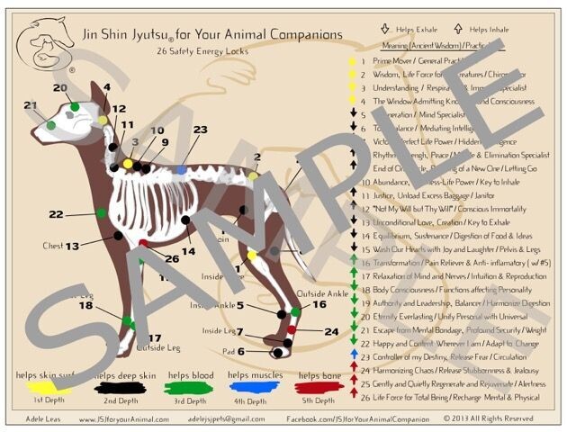 Large Laminated JSJ for Your Canine Companion Chart of Safety Energy Locks (US purchase only)