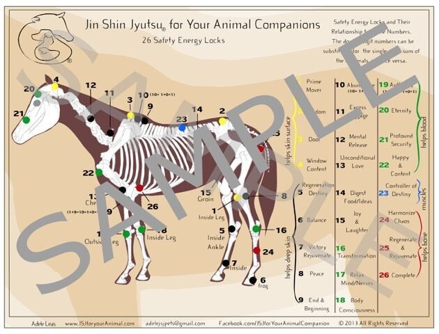 Large Laminated JSJ for Your Equine Companion Chart of Safety Energy Locks (US purchase only)