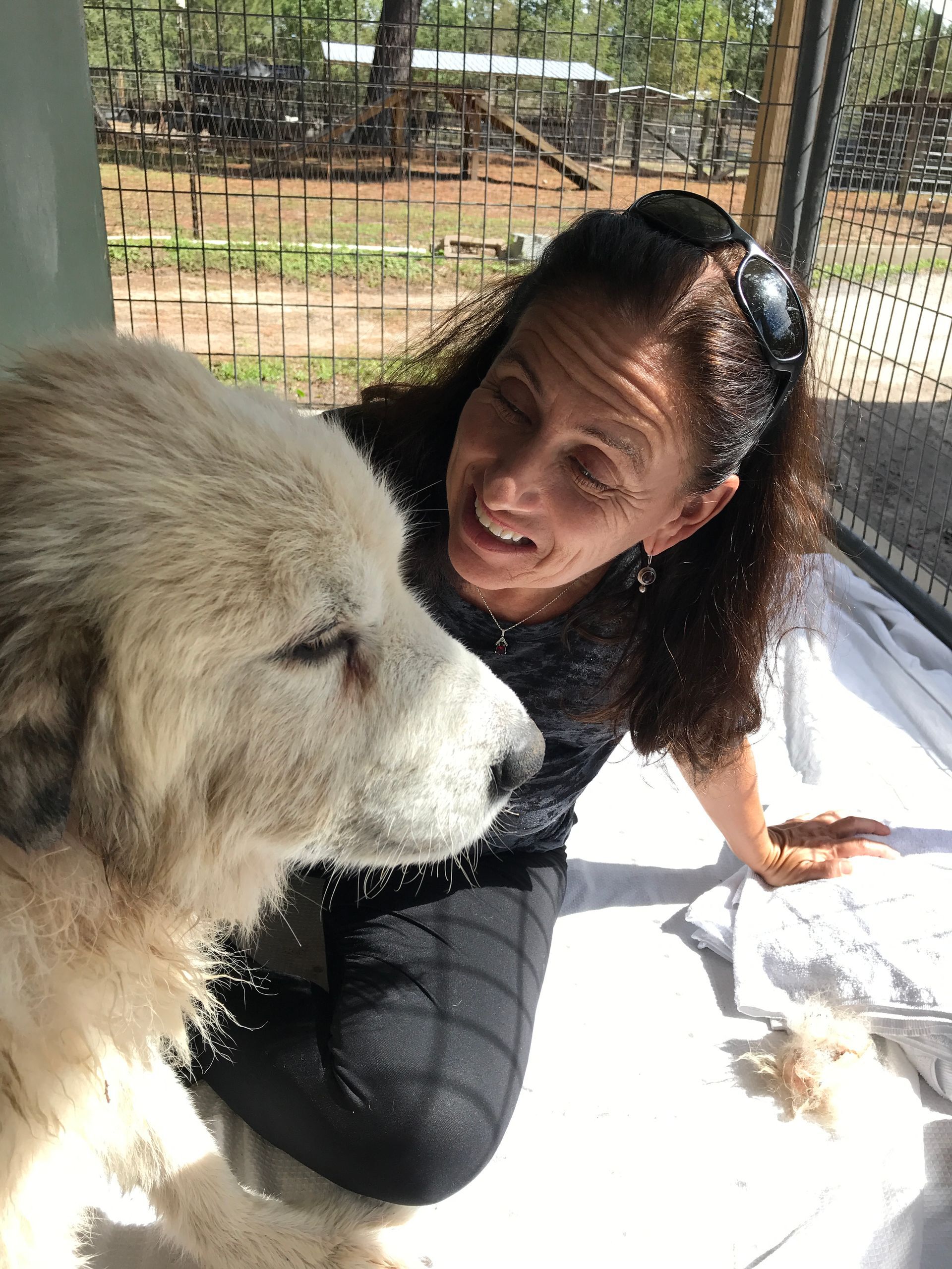 In-Person Class at Muddy Paws Farm Rescue, September 19-21, 2025, Southampton, NJ