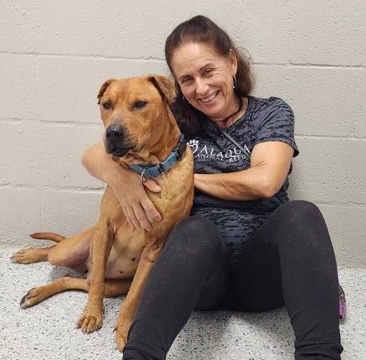 In-Person Class at Alaqua Animal Refuge Oct 9-12, 2025