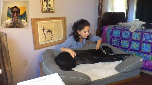 Online Intro to JSJ for You and Your Animal Companion Jan 24-Mar 14, 2026 Online Intro to JSJ for You and Your Animal Companion Jan 24-Mar 14, 2026