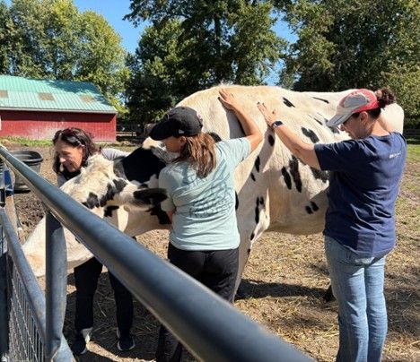 In-Person Class at Muddy Paws Farm Rescue, September 11-13, 2026, Southampton, NJ In-Person Class at Muddy Paws Farm Rescue, September 11-13, 2026, Southampton, NJ