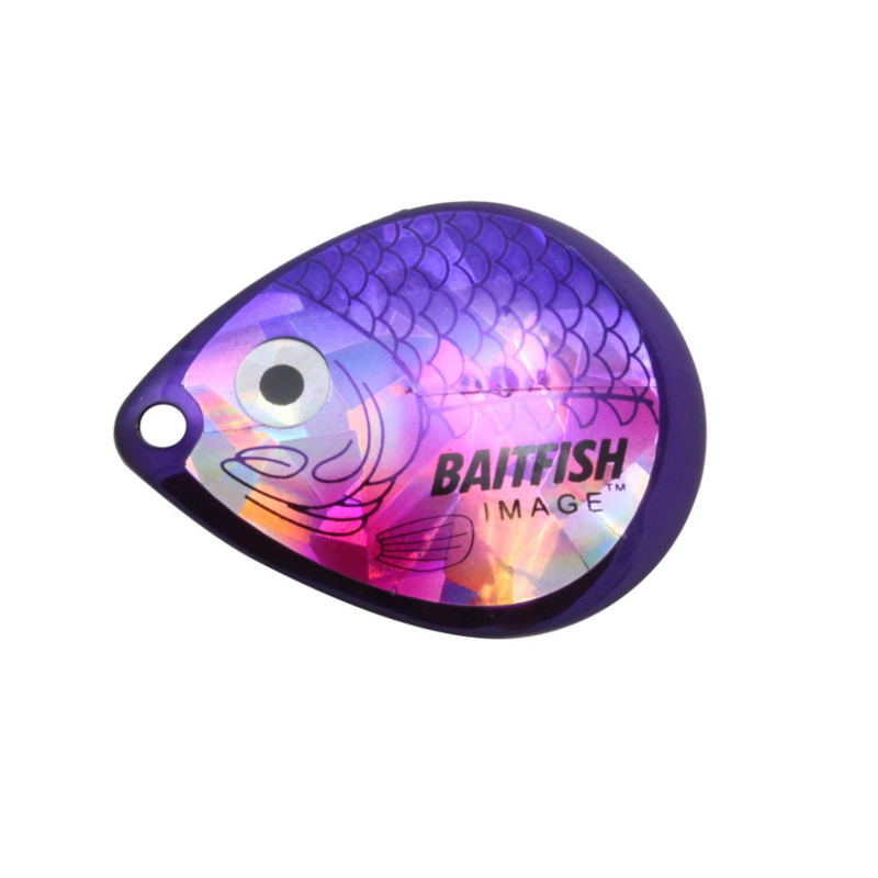 Northland Baitfish-Image Colorado Blades