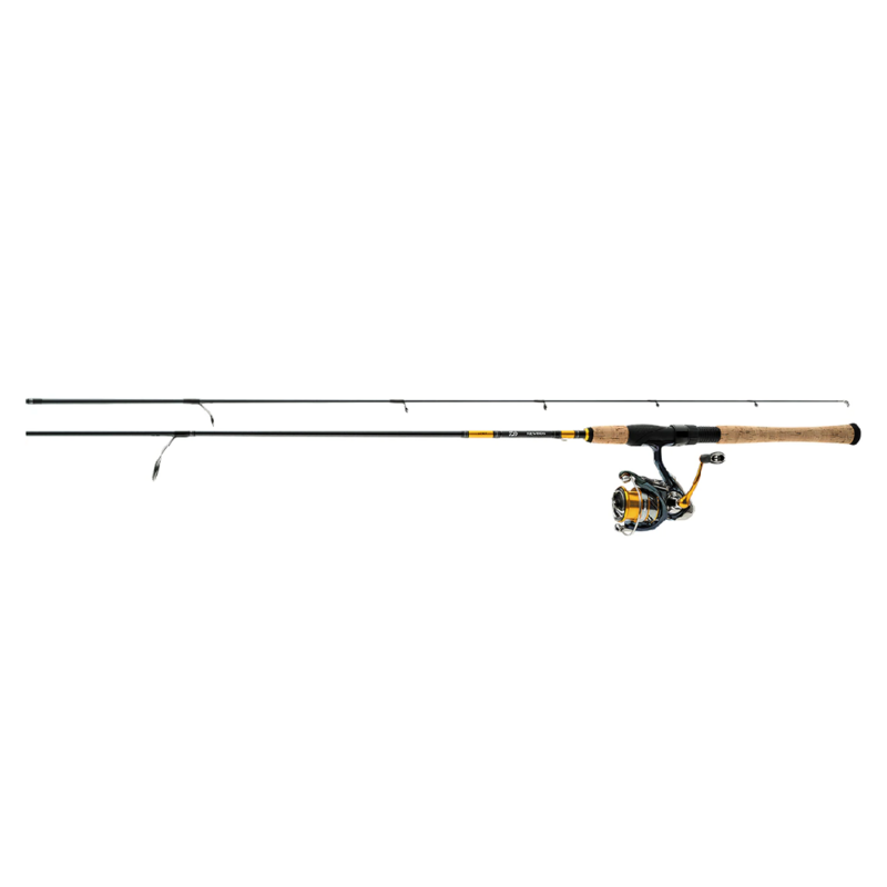 Daiwa Revros LT Combo