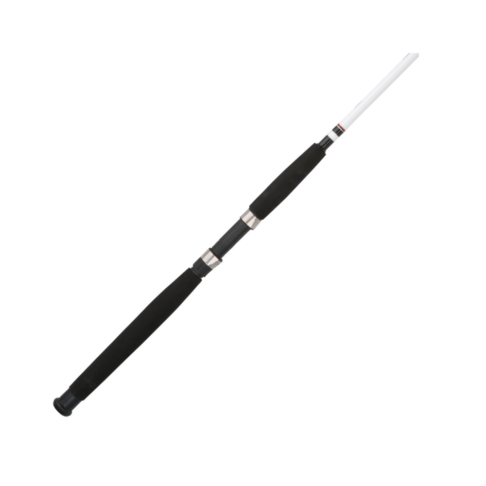 Berkley Big Game™ Spinning Rod
