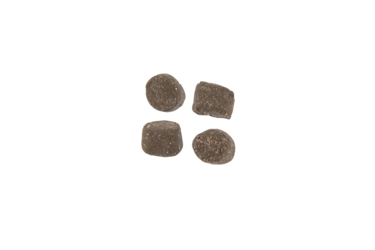 Berkley PowerBait Trout Nuggets, Color: Cheese