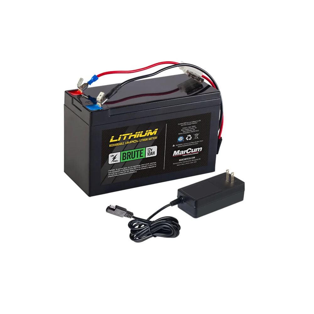 12V 10AH LiFePO4 Battery and 3amp Charger