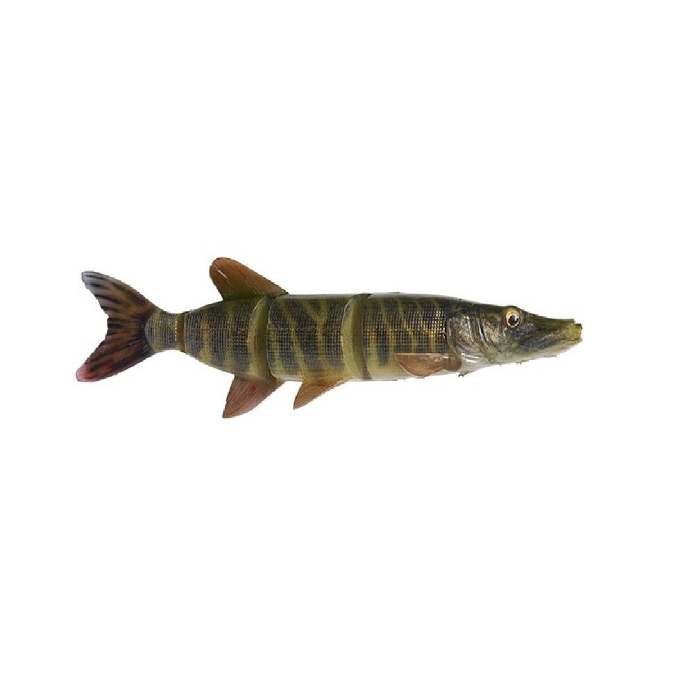 4D Line Thru Pike 10&quot;  Striped Pike