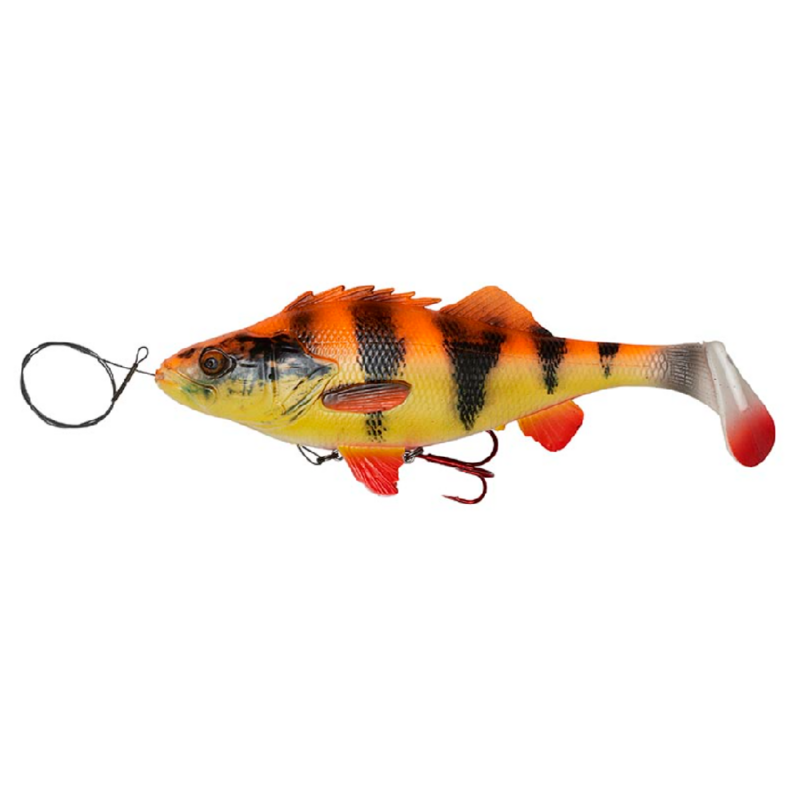 4D Line Thru Perch Shad  Albino