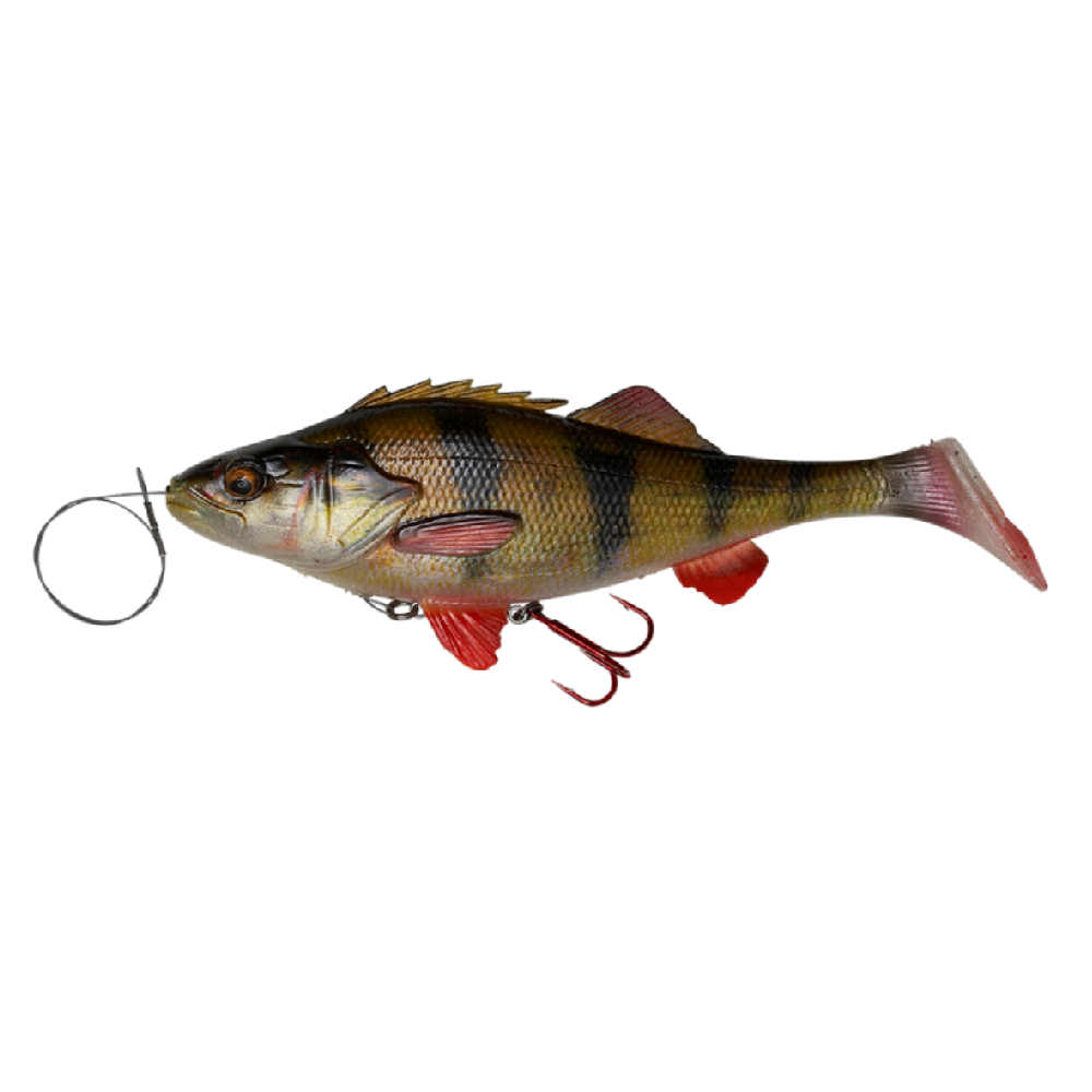 4D Line Thru Perch Shad Perch