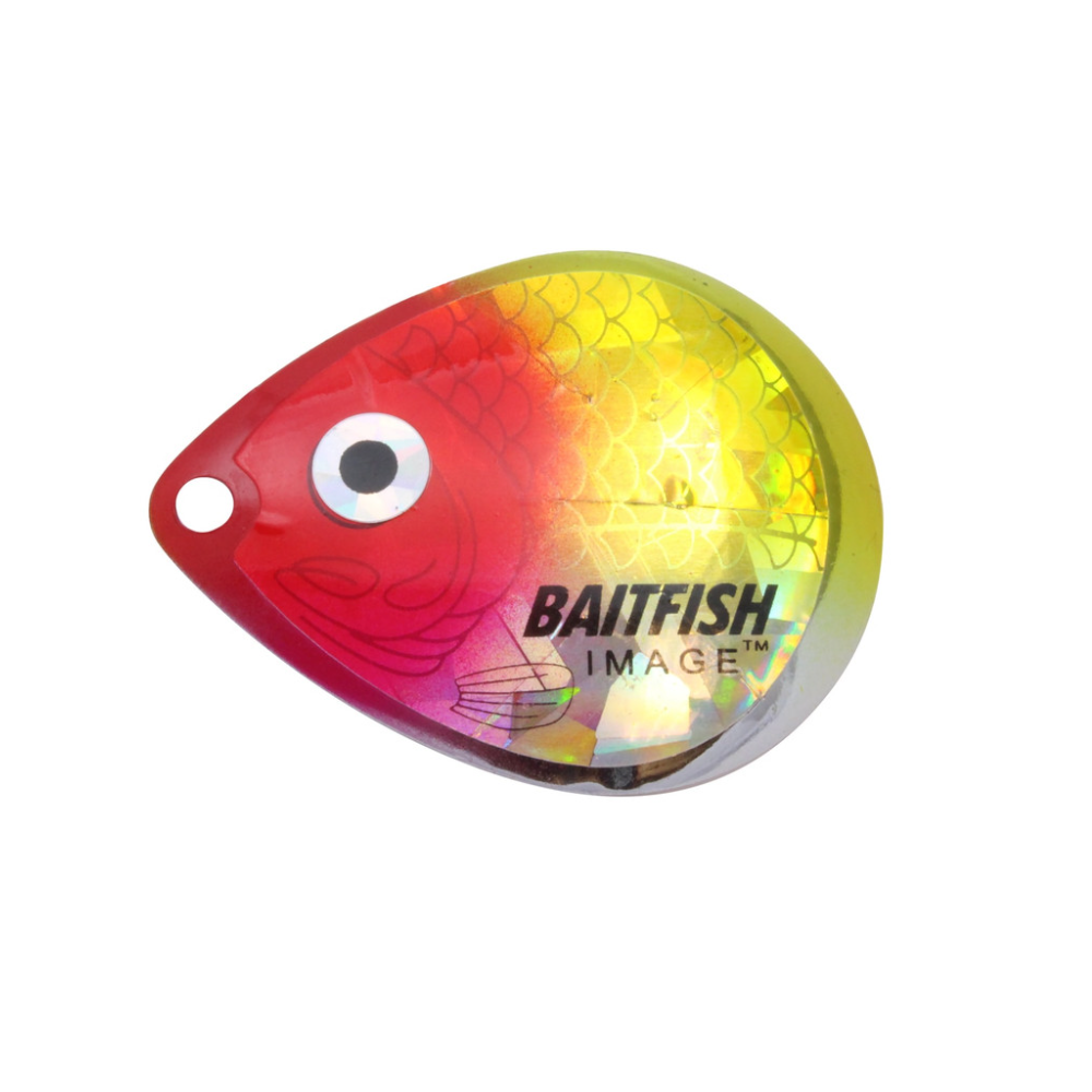 Northland Baitfish-Image Colorado Blades, Colour: Clown, Size: 3, Quantity: 3