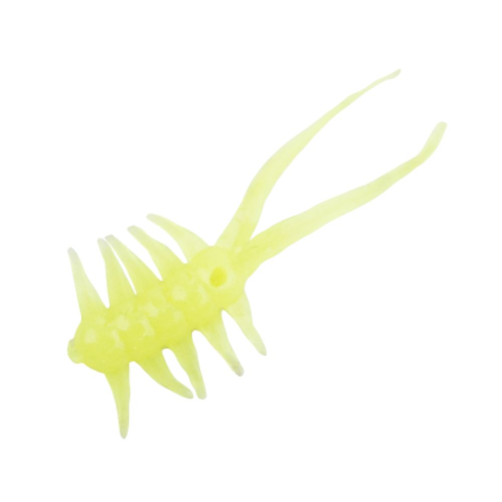 Clam Jamei XL