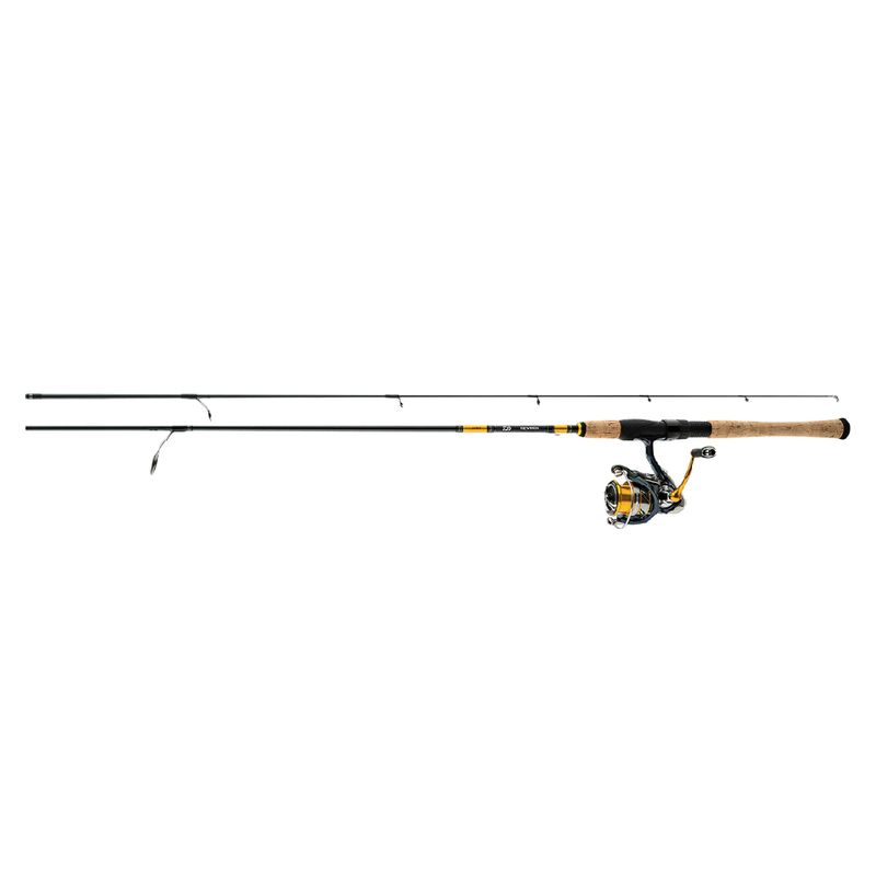 Daiwa Revros LT Combo
