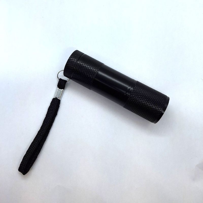 9 LED UV Light