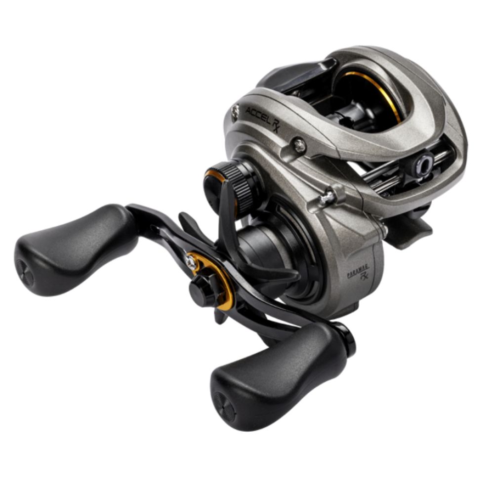 Lew's Accel RX Baitcast Reel