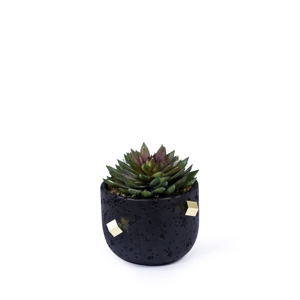 Kelly Black Bowl