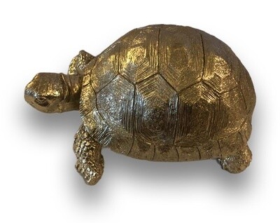 Fiona Turtule Object