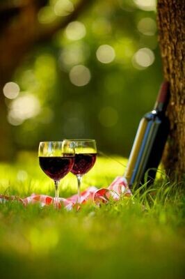 Grands vins