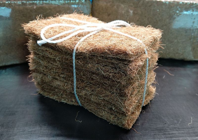 Microgreens Anzucht Kokosmatten 10 Stück