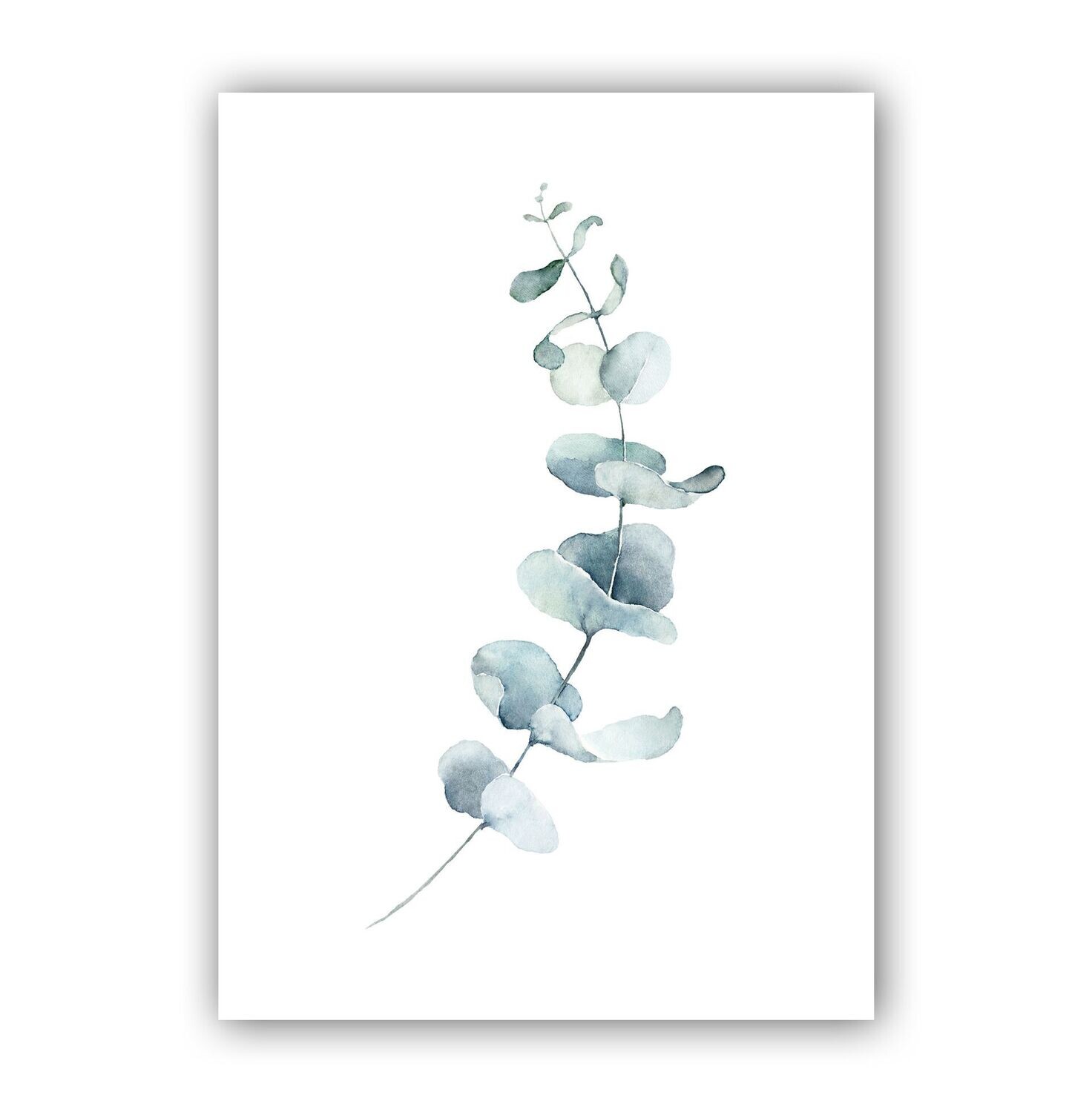 Moderne Poster im Aquarell-Stil mit Eukalyptus