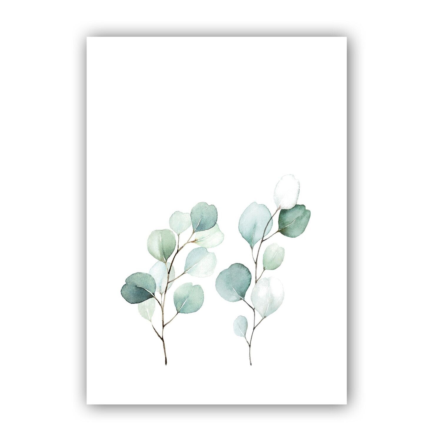 Moderne Poster im Aquarell-Stil mit Eukalyptus
