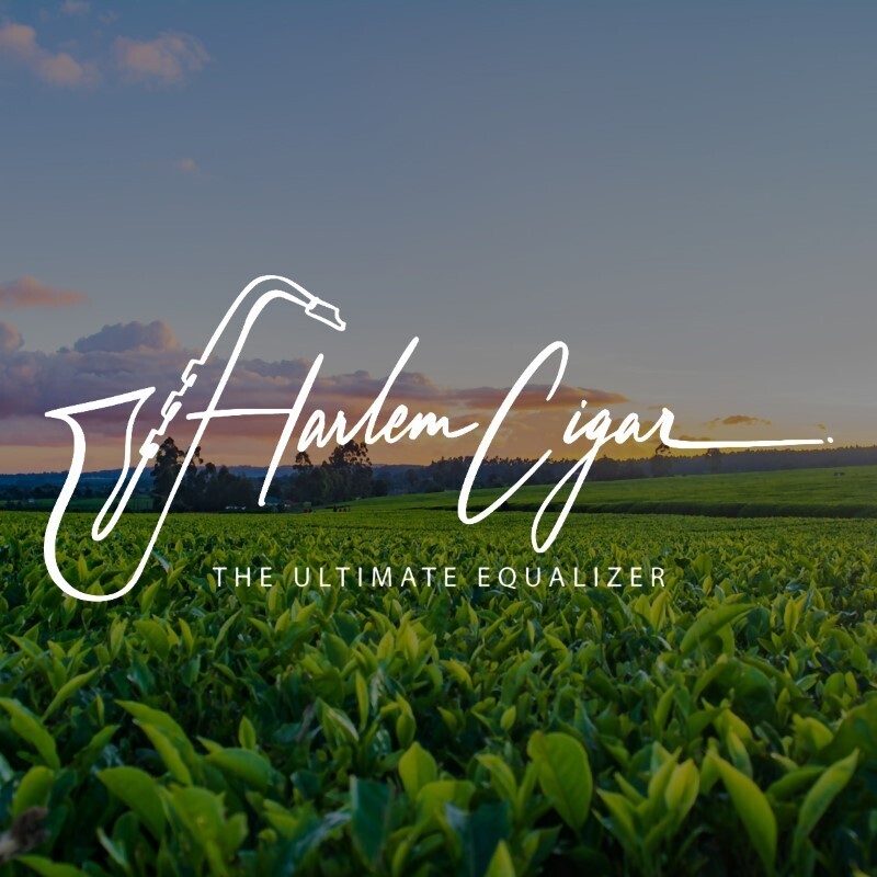 Harlem Renaissance The Ultimate Equalizer