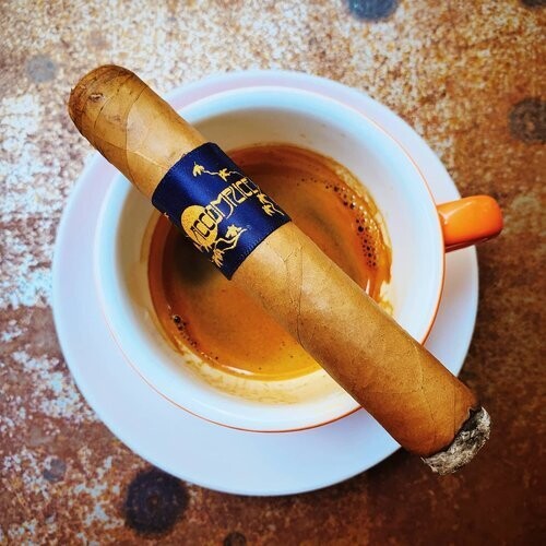 ACCOMPLICE CONNECTICUT ROBUSTO (5 x 50) - BLUE BAND