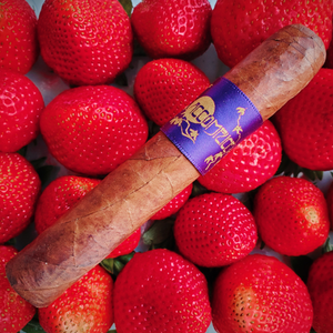 ACCOMPLICE COROJO ROBUSTO (5 x 50) - PURPLE BAND
