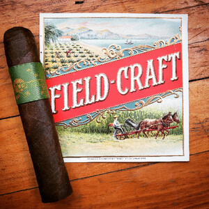 ACCOMPLICE MADURO ROBUSTO (5 x 54) - GREEN BAND